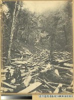 臺中州新高郡番地巒大山運材所作業之景藏品圖，第2張